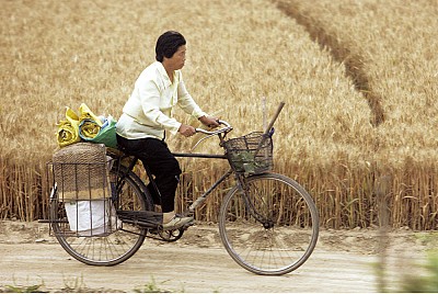 中國糧食危機