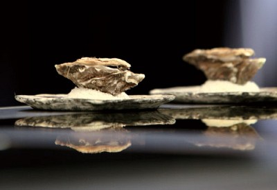 中西醫學觀點│恐核時刻 認識碘與甲狀腺