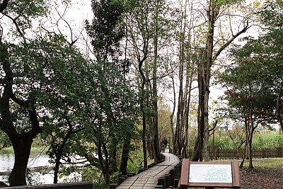 生態行旅｜古樸風韻引人懷舊 羅東林業文化園區 