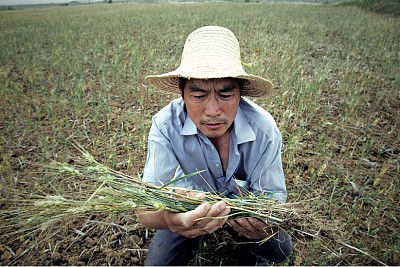 土地污染 中國糧食危機無法避免