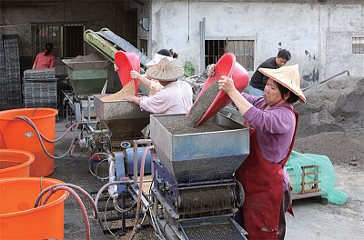 >良心種好米 朱聰榮全家同心自產銷