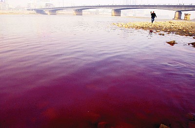 中國水污染恐怖 自來水僅剩沖馬桶功能