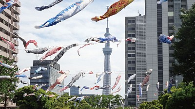 >節慶聚焦 鯉魚旗飛揚 日本兒童日的中華心