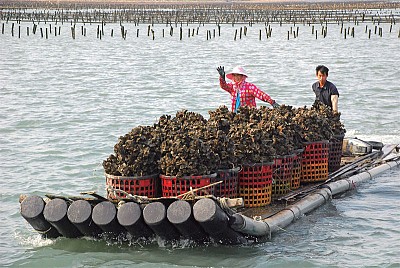 >流金歲月 西部雲林風情畫