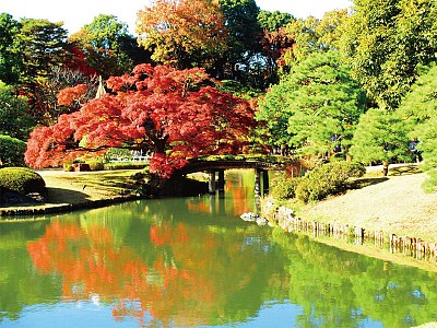 >遊六義園 神傳文化詩意相伴