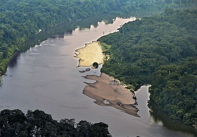 >亞馬遜雨林是人造 史前文化發達