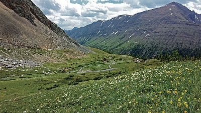 >探訪遠古的痕跡 加拿大洛磯山雷鳥山谷