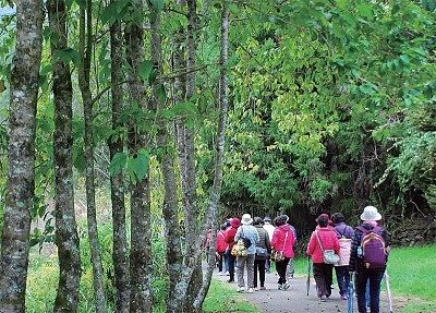 >走訪臺灣大學山地實驗農場 掀開原始梅峰的面紗