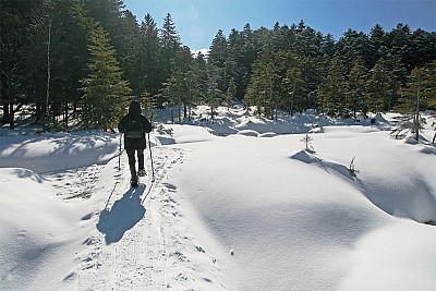 寒冬北海道 健走野騎深度遊