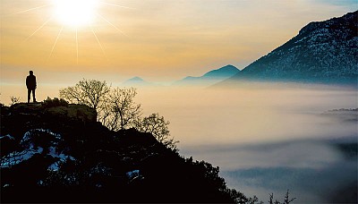 人的思想源於何處？或來自大腦之外