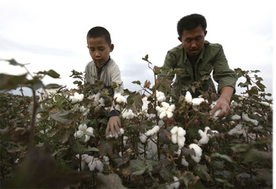 白棉背後的黑暗─新疆百萬學生被迫「勤工儉學」摘棉花