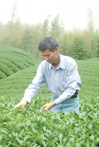 包種茶清香派製茶師鄭添福專訪